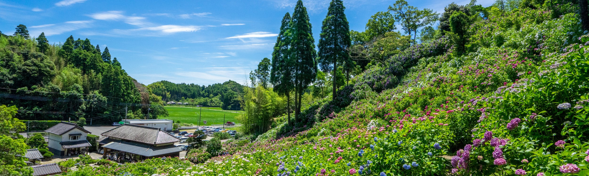 まちおこし.comについて