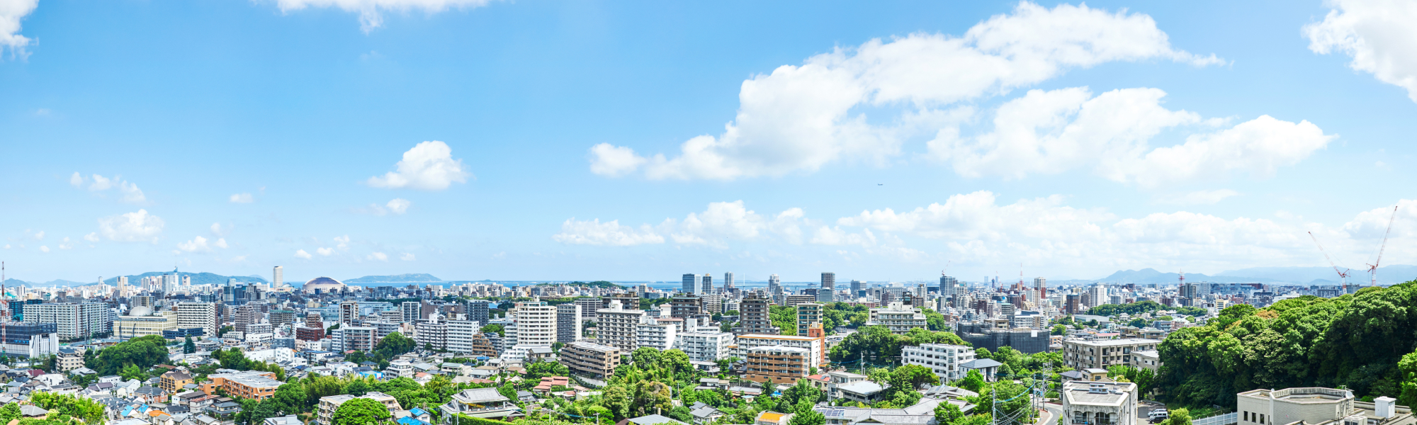 まちおこし事例